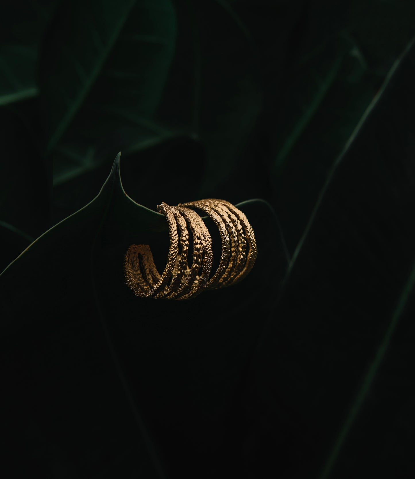 Miran Abdelwareth in "The Gracious Twirl Earrings"