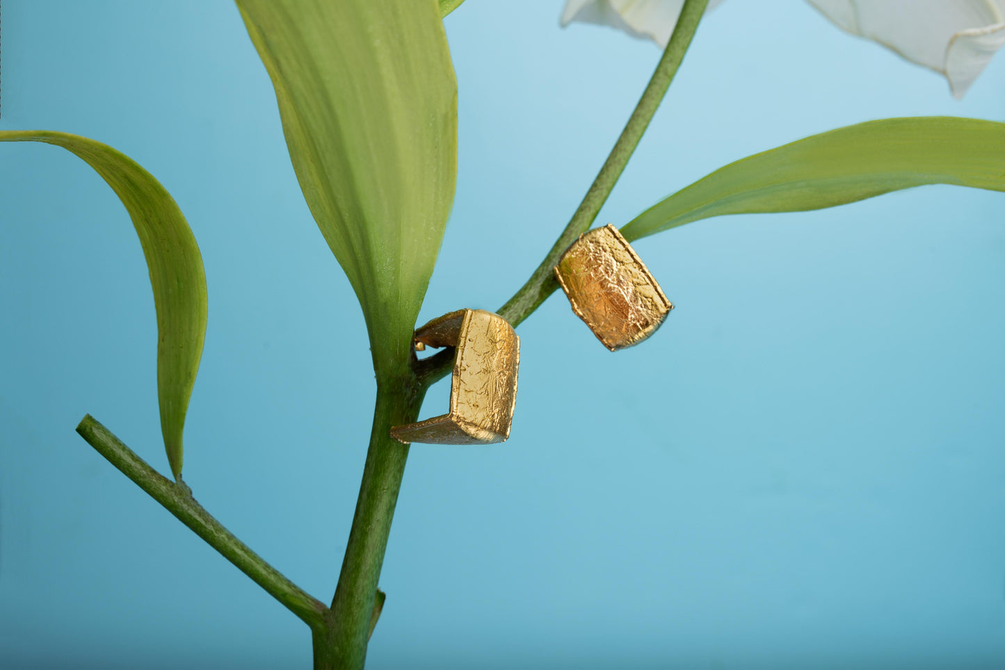 The ECHOED BOND Hoops