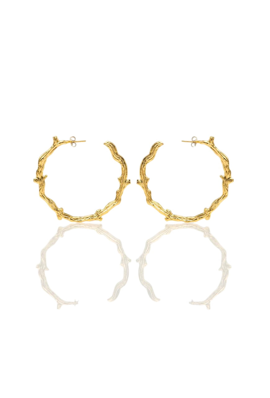 The Wooden Hoops