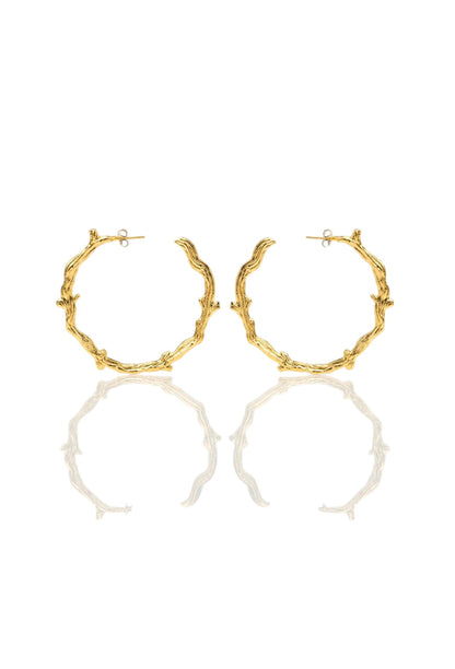 The Wooden Hoops