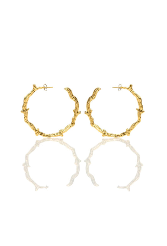 The Wooden Hoops