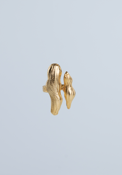The Binding Waves Ring