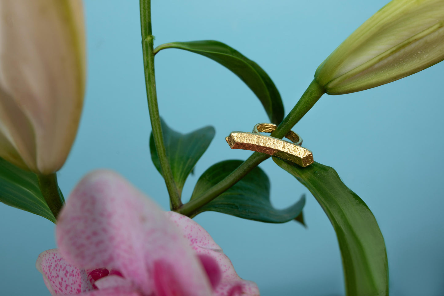 The TWIN PULL Ring
