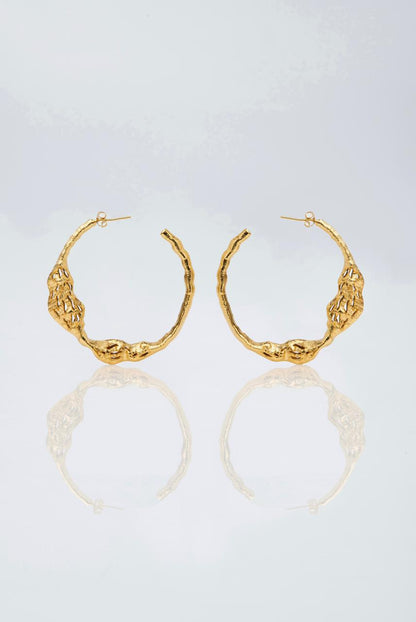 The Sacred Ruins Hoops