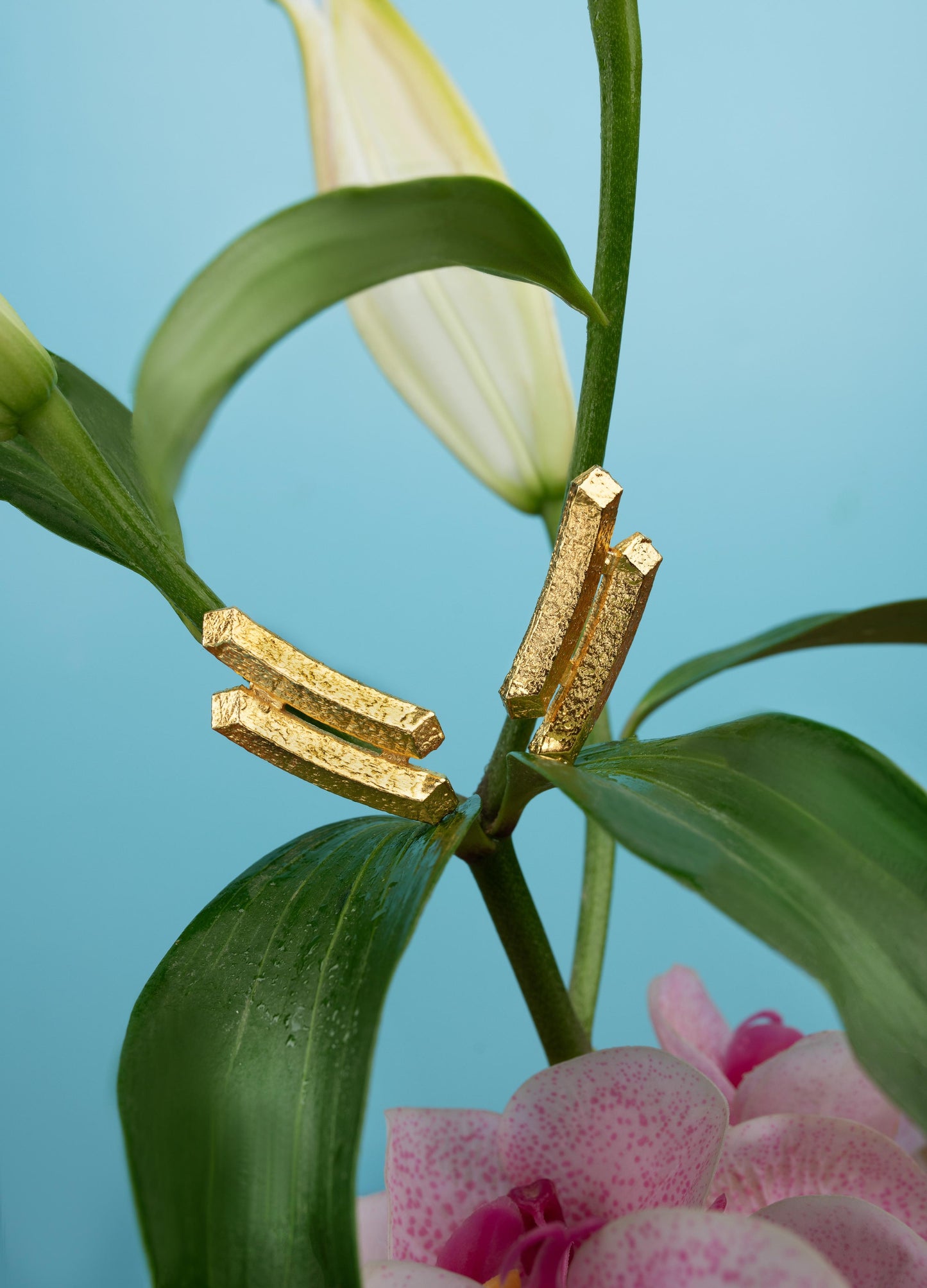 The TWIN PULL Earrings