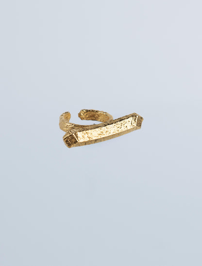 The TWIN PULL Ring